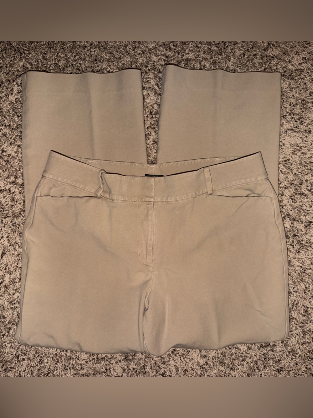 Ann Taylor Neutral Beige Straight-Leg Pants 16 Curvy